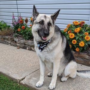 Meet your Posher, Tanna